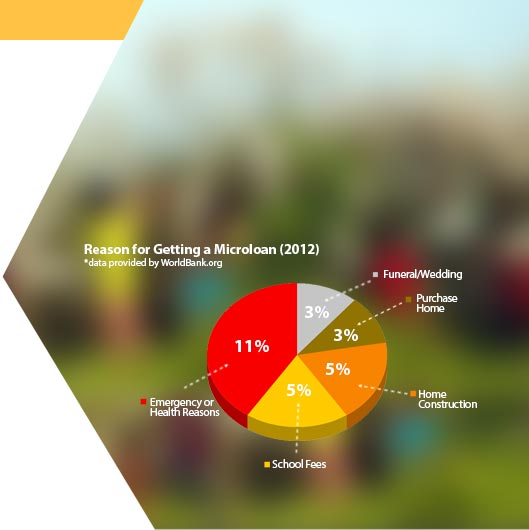 Microfinance Vision