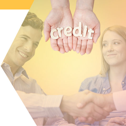 Short Term Microfinancing
